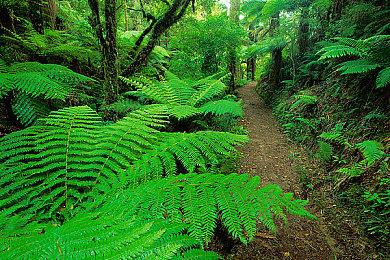 XBX版《战地2042》遇BUG 几分钟即可致主机崩溃关机